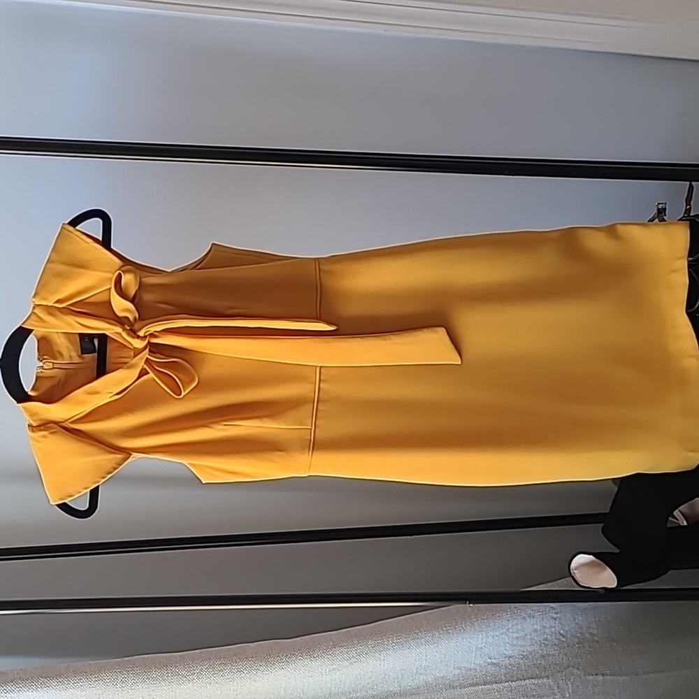 JCrew dress. This dress is georgous. New without tags.